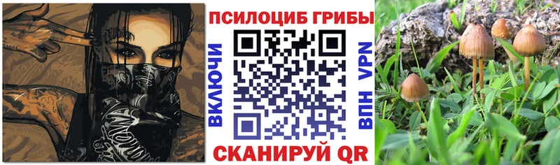 хочу наркоту  Полтавская  Псилоцибиновые грибы мухоморы 